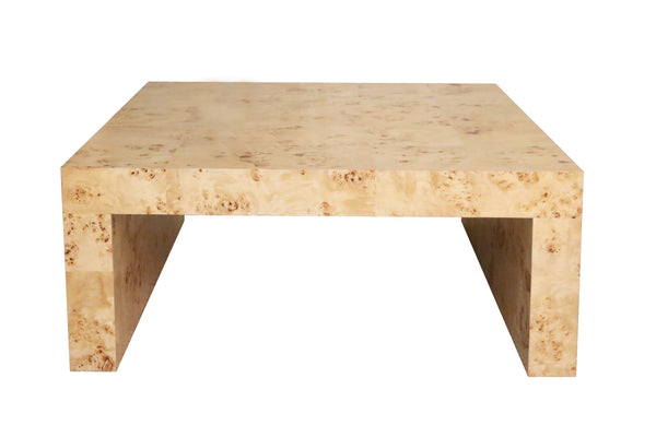 Chloe Burl Square Coffee Table by AVE Home- Out of Stock