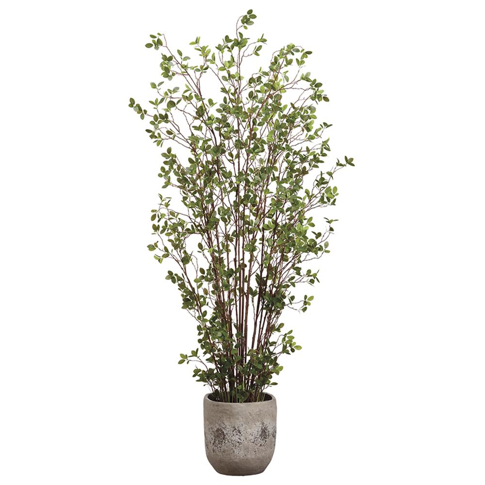 Artificial 6' Mini Faux Leaf in Round Cement Planter